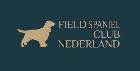 Logo FSCN