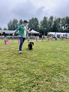 2025 08 17 Dogshow Rotterdam foto 4