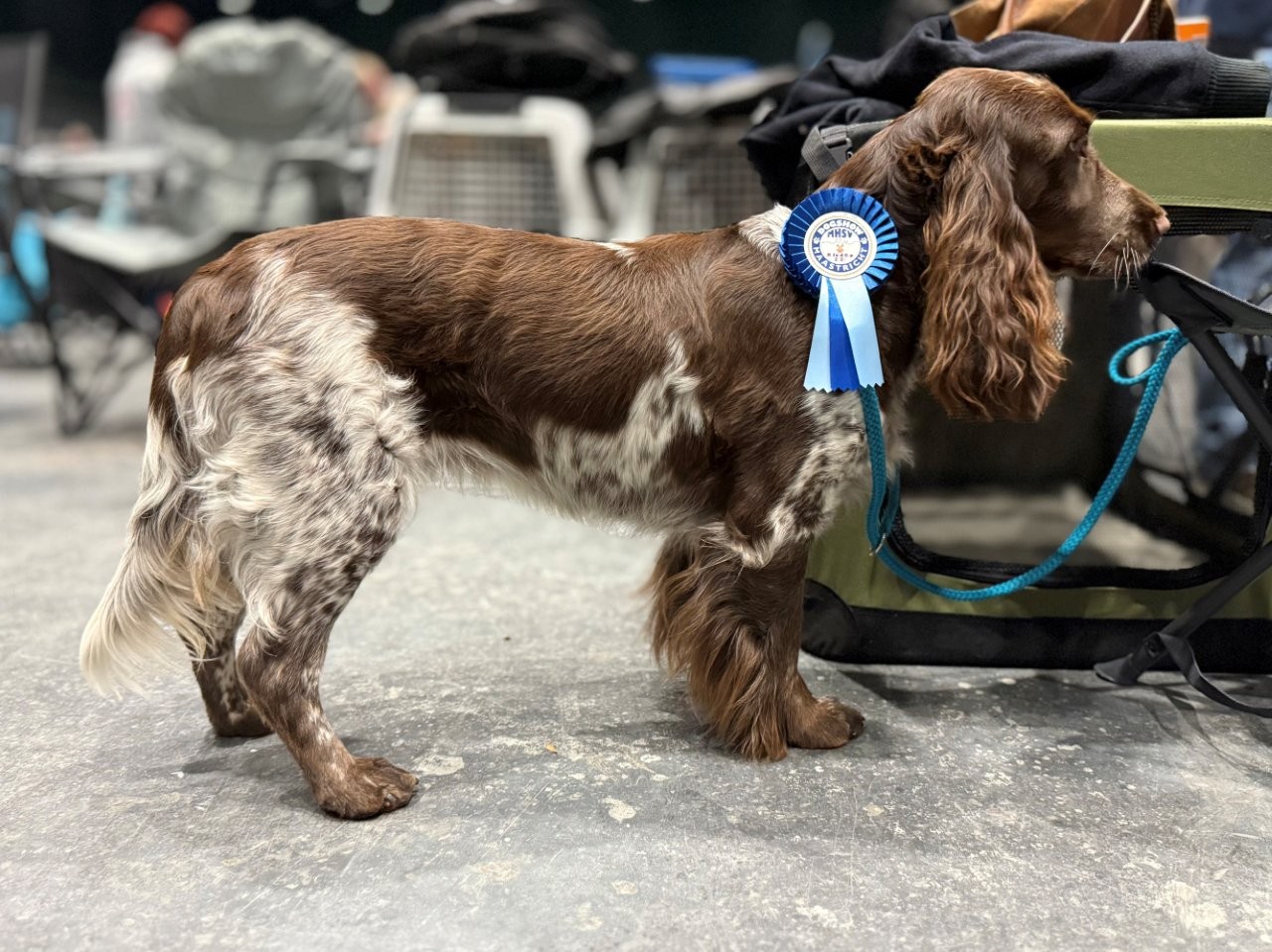 2025 09 27 Suze 2 klein